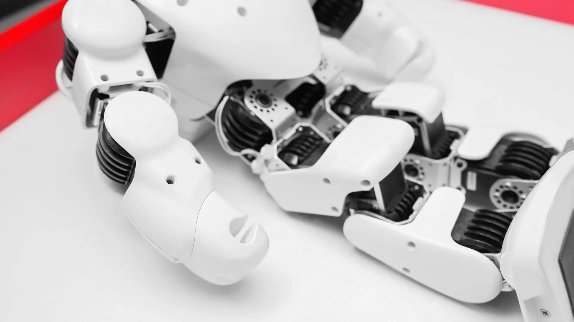 Vertitech Humanoid robot LINA | Explore-Create-Innovate - Innovate Cycle B ...